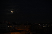 Enlarge photo 276