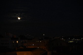 Enlarge photo 277