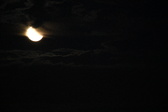Enlarge photo 279