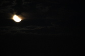 Enlarge photo 280