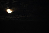Enlarge photo 281