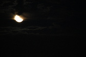 Enlarge photo 282