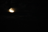 Enlarge photo 283