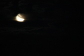 Enlarge photo 284