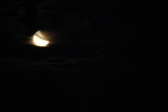 Enlarge photo 285