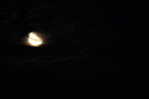 Enlarge photo 286