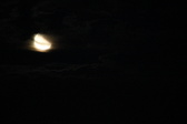 Enlarge photo 287
