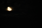 Enlarge photo 288