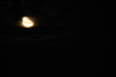 Enlarge photo 289