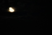 Enlarge photo 290