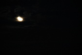 Enlarge photo 291
