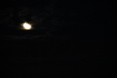 Enlarge photo 293