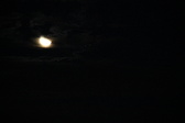 Enlarge photo 295