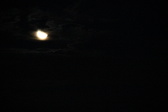 Enlarge photo 296