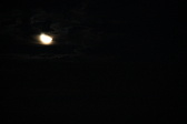 Enlarge photo 297