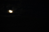 Enlarge photo 298