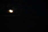 Enlarge photo 299