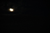Enlarge photo 302