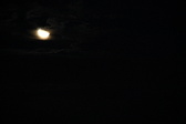 Enlarge photo 303