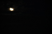 Enlarge photo 304