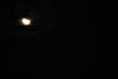 Enlarge photo 305