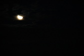 Enlarge photo 306