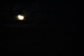 Enlarge photo 307