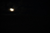 Enlarge photo 308