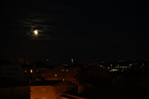 Enlarge photo 313