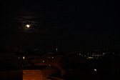 Enlarge photo 317