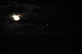 Enlarge photo 319