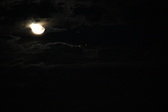 Enlarge photo 320