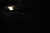 Enlarge photo 321
