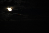 Enlarge photo 322