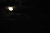 Enlarge photo 323