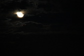 Enlarge photo 324