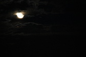 Enlarge photo 325