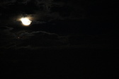 Enlarge photo 326