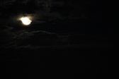 Enlarge photo 327