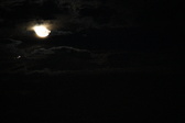 Enlarge photo 328