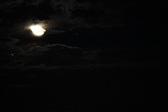 Enlarge photo 329