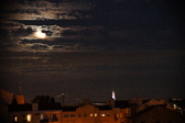 Enlarge photo 337