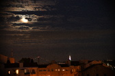 Enlarge photo 338