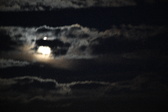 Enlarge photo 339
