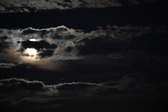 Enlarge photo 340
