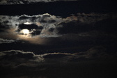 Enlarge photo 341