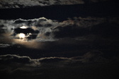 Enlarge photo 342