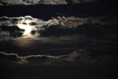 Enlarge photo 343