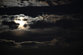 Enlarge photo 344