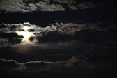 Enlarge photo 346